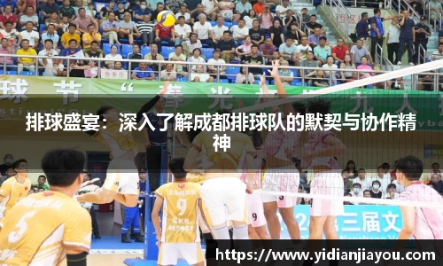 排球盛宴：深入了解成都排球队的默契与协作精神